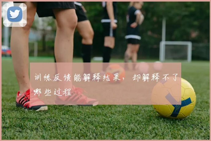 训练反馈能解释结果,却解释不了哪些过程