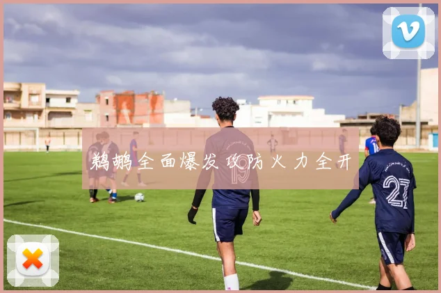 鹈鹕全面爆发攻防火力全开