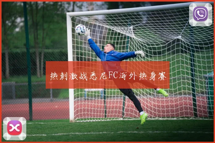 热刺激战悉尼FC海外热身赛