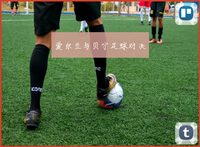 爱尔兰与贝宁足球对决