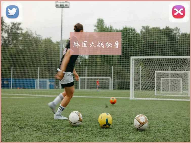韩国大战秘鲁