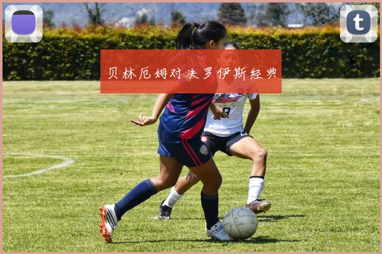 贝林厄姆对决罗伊斯经典