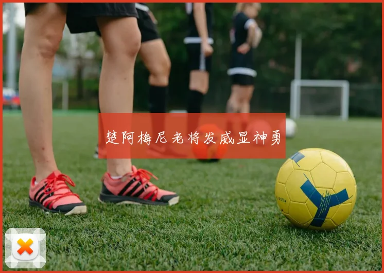 楚阿梅尼老将发威显神勇