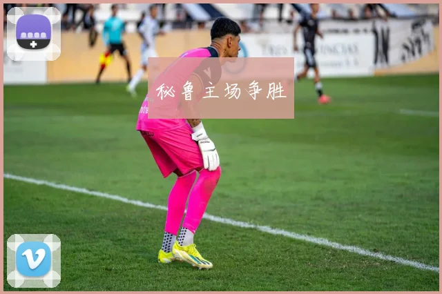 秘鲁主场争胜