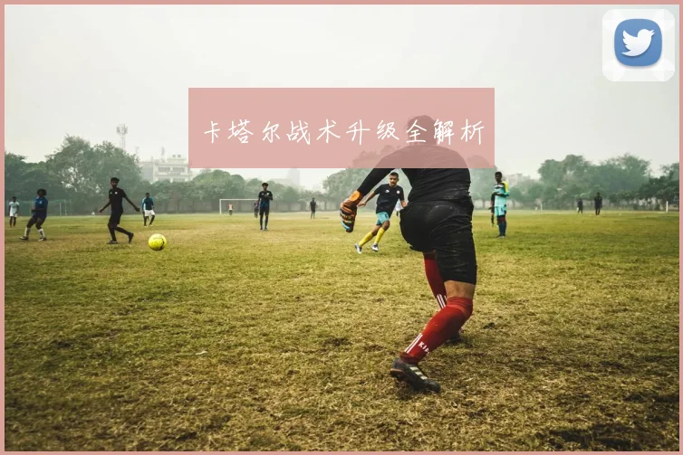 卡塔尔战术升级全解析