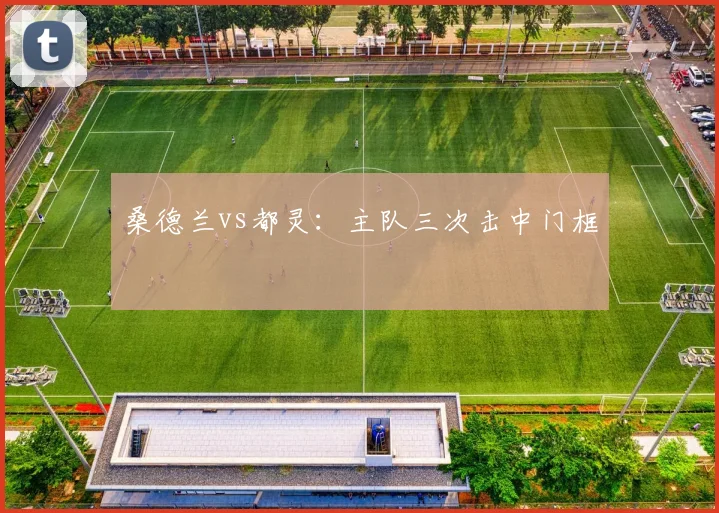 桑德兰vs都灵：主队三次击中门框