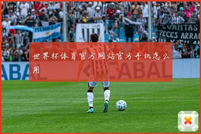世界杯体育官方网站官方手机怎么用